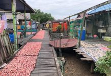 KEDAULATAN DI BAWAH TERIK DELTA MAHAKAM : SAAT MATAHARI MENGHIDUPI DAPUR MUARA PANTUAN