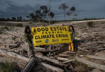 KETAHANAN PANGAN ATAU PENGHANCURAN HUTAN? DILEMA FOOD ESTATE YANG TAK TERBICARAKAN