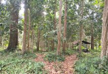 LEMBO,HGU DAN PERTARUNGAN AGRARIA DI KAMPUNG SAKAQ TADA