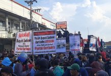 GANDUL MANDUL