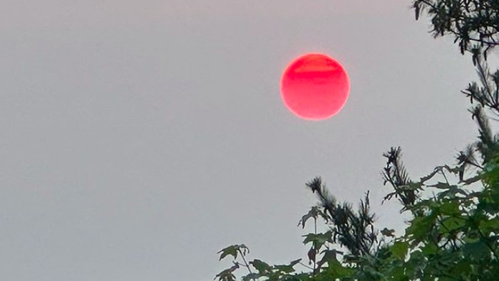 matahari-merah-1_169