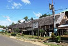 PANGGUNG PUNGGUNG : LAMIN LANTING