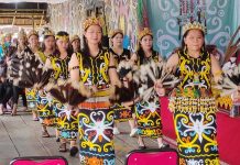PANGGUNG PUNGGUNG : GAYA DAYA
